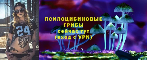 a pvp Снежинск